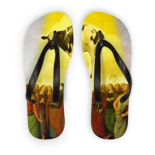 Abduction Adult Flip Flops - Allen-Fitness