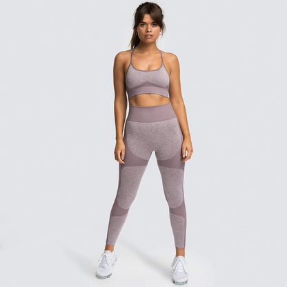 Women seamless plus size fitness wear tights quick dry workout gym sports yoga sets - Allen Fitness