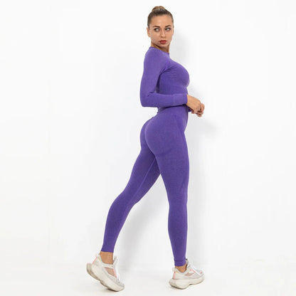 Women Wholesale 14 Colors Seamless Long Sleeve Top And Leggings Set Yoga Workout Suit - Allen Fitness