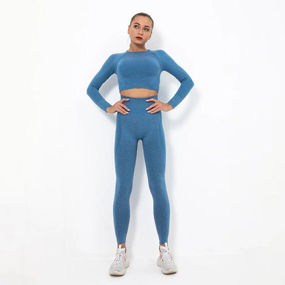 Women Wholesale 14 Colors Seamless Long Sleeve Top And Leggings Set Yoga Workout Suit - Allen Fitness