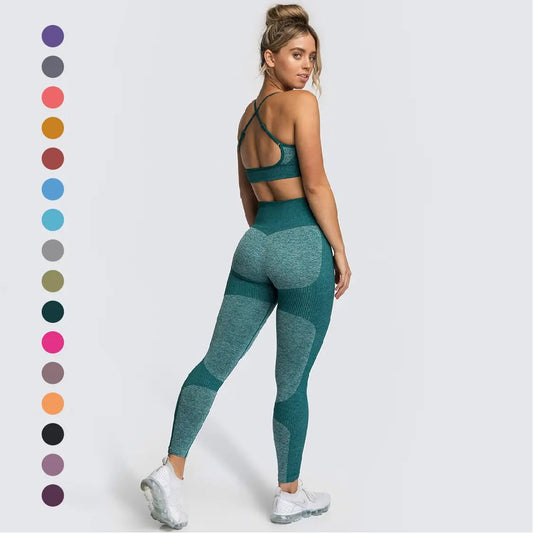 Seamless Sports Bra High Waist Leggings Workout Gym Fitness Running Yoga Sets 2 Piece Set Women - Allen-Fitness