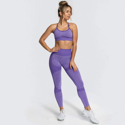 Seamless Sports Bra High Waist Leggings Workout Gym Fitness Running Yoga Sets 2 Piece Set Women - Allen-Fitness