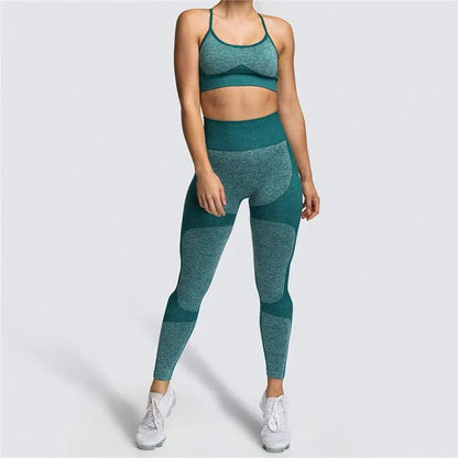 Seamless Sports Bra High Waist Leggings Workout Gym Fitness Running Yoga Sets 2 Piece Set Women - Allen-Fitness