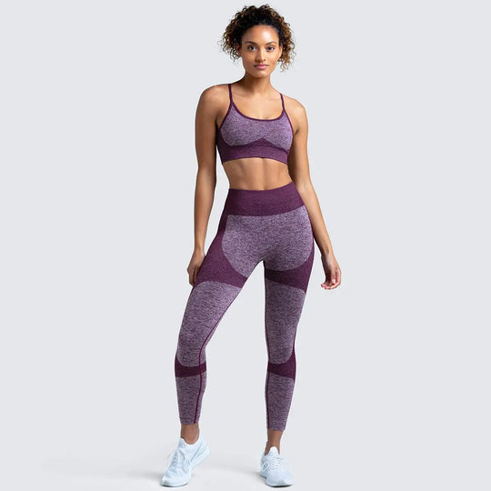 Women Seamless Activewear Fitness Gym Wear Sportswear Crop Top Leggings Yoga bra Set - Allen-Fitness